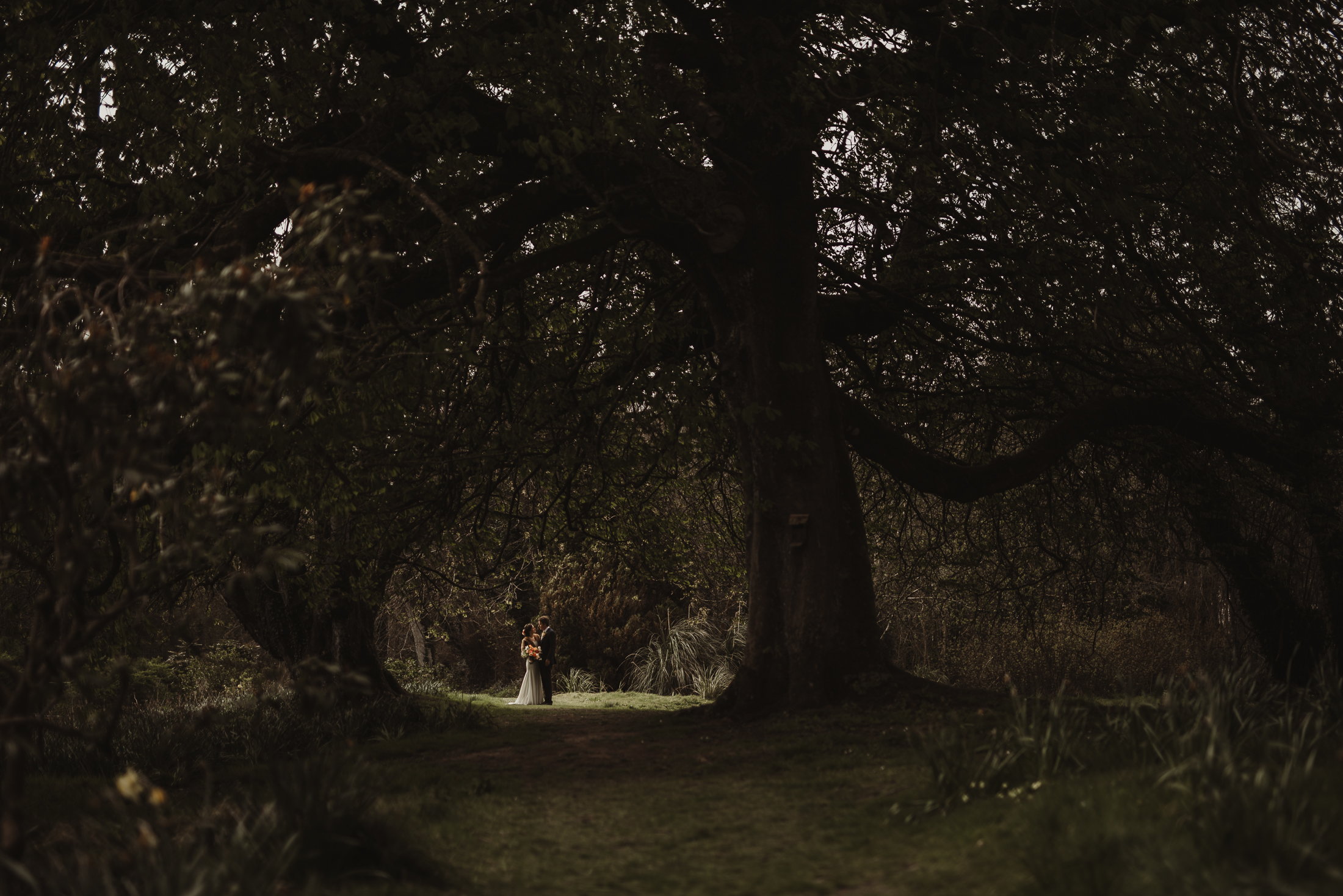 Wedding photography 5